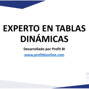 EXPERTO EN TABLAS DINÁMICAS